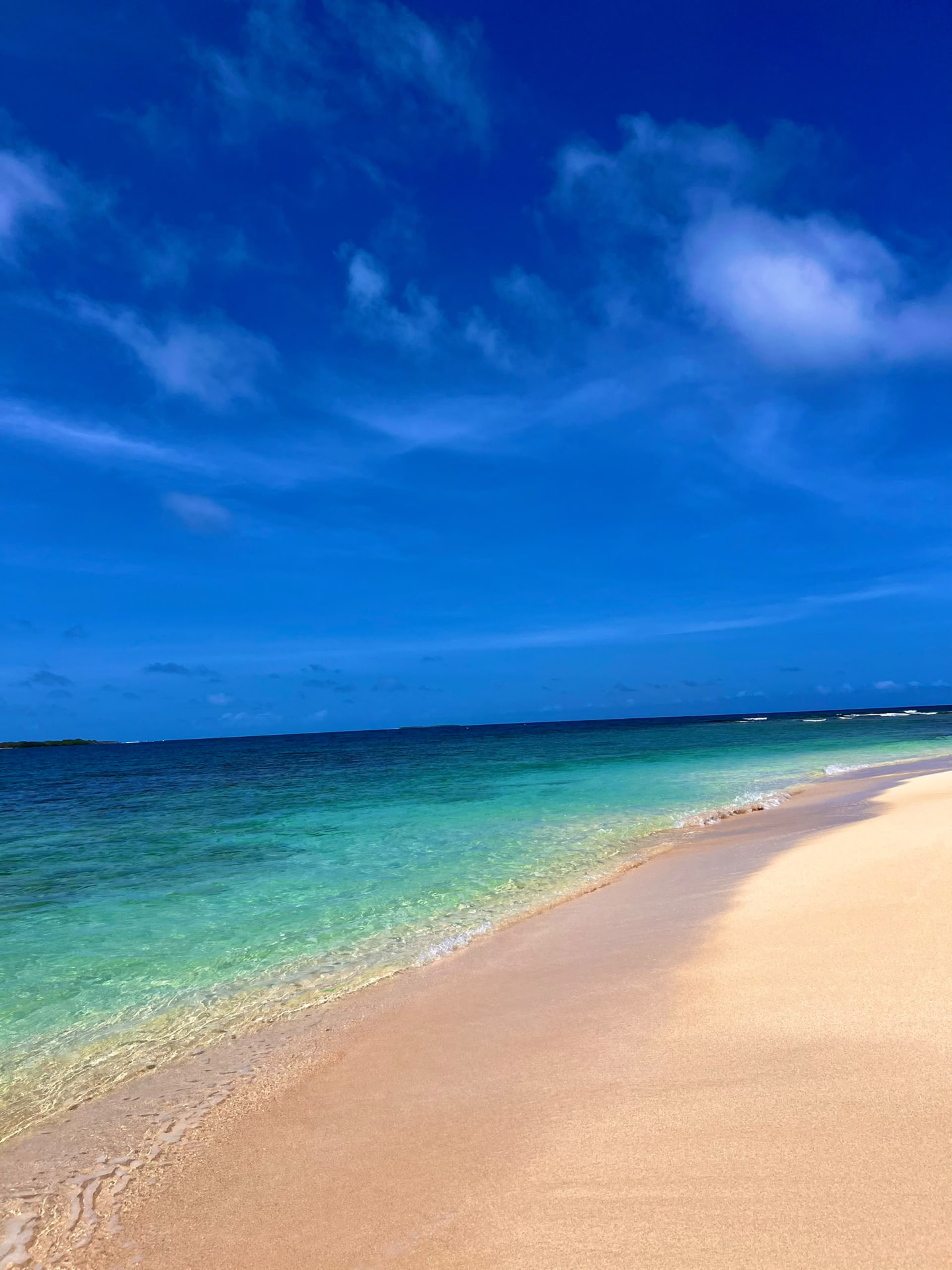 Playa de agua turquesa en Chichiriviche